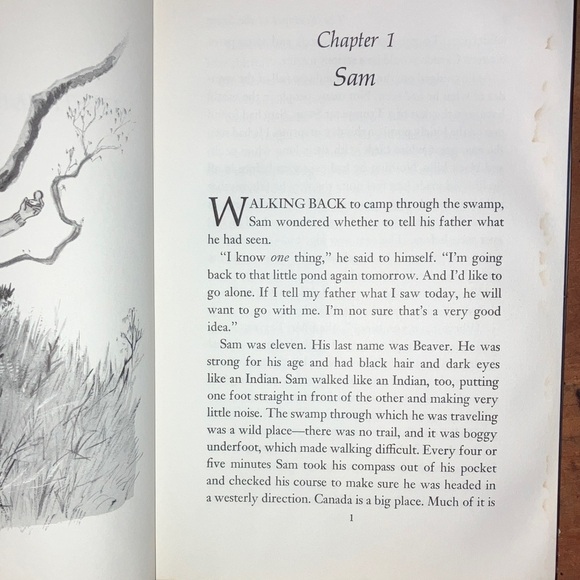 The Trumpet of the Swan by E.B. White - vintage Illustrated Children's Book - Picture 8 of 16